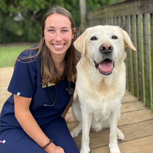 Dr. Alissa Luthart, Dallas Veterinarian